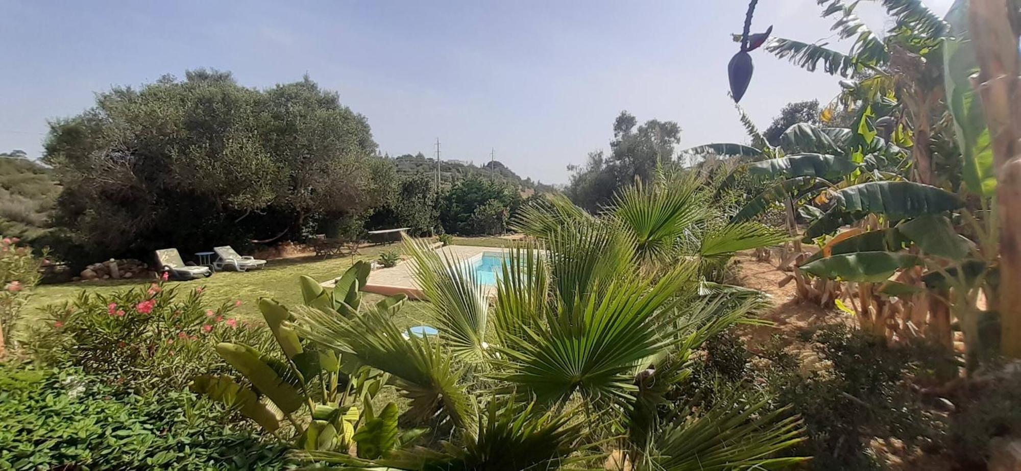 Villa Monte Funchal, *